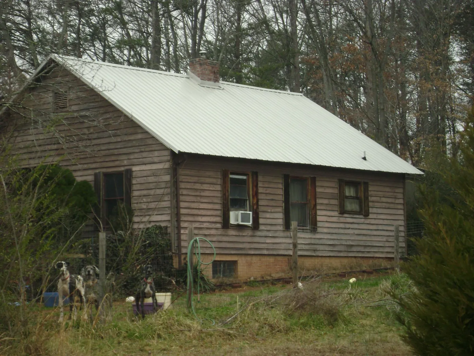 White metal roof on an old wood sided farmhouse, from a Metal Roof Installation job in Judith Gap